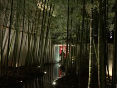 -穹六人间 people 6(岳阳路店)