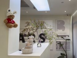 -三只熊皮肤管理中心旗舰店