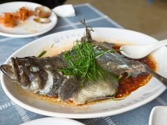 清蒸石斑鱼-明记海鲜大排档(巽寮湾店)