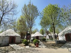 -九十九顶毡房(阜石路店)