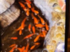 -一桶江山餐厅(松北店)