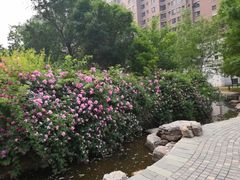 -江边城外烤全鱼(方庄时代购物中心店)