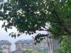-张学良旧居陈列馆