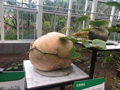-黄龙溪欢乐田园