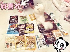 -Double Rui宠物酒店
