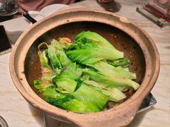 啫啫生菜煲-陶陶居酒家(美院店)