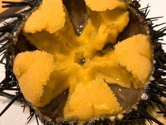 -海胆小馆(东北水饺·春柳店)