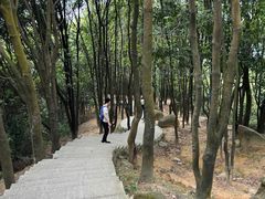 -火炉山森林公园