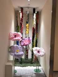 -Evigor医维格医美