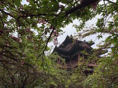 -西安青龙寺遗址景区
