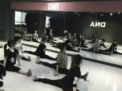 -DNA舞室