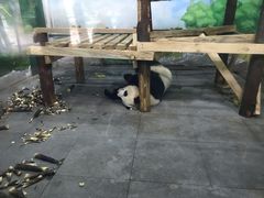 -无锡动物园·太湖欢乐园