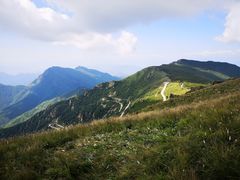 -白草畔自然风景区