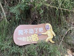 -白帝城·瞿塘峡景区