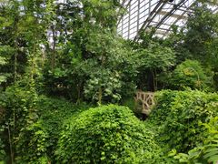 -南山植物园