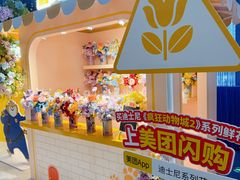 -美罗城