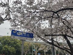 -南浦大桥长途旅游客运站
