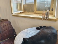 -春风十里咖啡馆