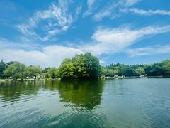 -上海共青森林公园