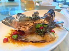 -春满园·早茶·粤菜·宴会(前海店)