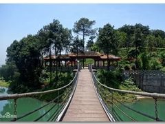 -铁山坪森林公园