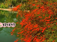 -四海公园(南山区)