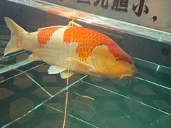 -北京海德酒店温泉