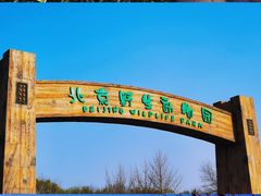 -北京野生动物园