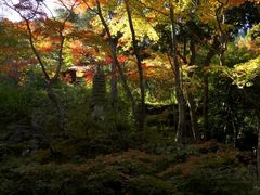 -常寂光寺