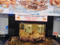 -蟹道乐(道顿堀本店)