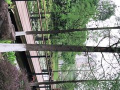 -映月湖公园