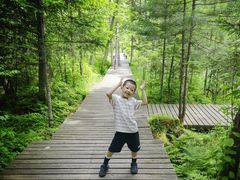 -五营红松林海景区