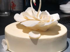 -BLACKSWAN黑天鹅(环球店)