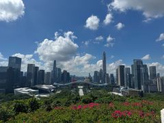-莲花山公园