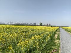 -汉长安城未央宫国家考古遗址公园