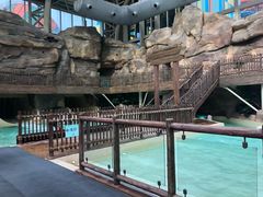 -杭州开元森泊度假乐园