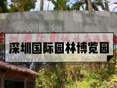 -宝安西湾红树林湿地公园