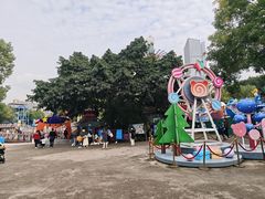 -南湖梦幻岛