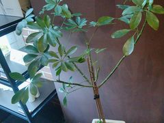 -泰合玺·精油疗愈SPA(南京光环花园城店)
