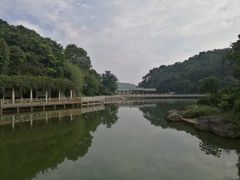 -广州市帽峰山景区