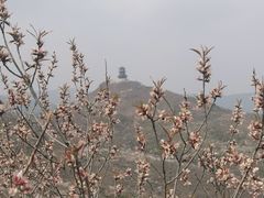-定都阁