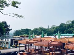 -惠州西湖丰渚园