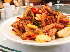 -红星渔村(东北大街店)