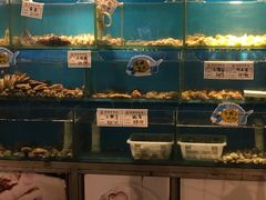 水产区-小郭私房菜·海肠捞饭店(学士街店)