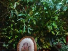 -肉串汪(望京店)