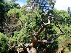 -草庵摩尼教遗址公园