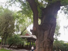 -晋祠公园