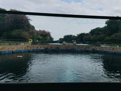 -天津湾西餐厅(三亚海棠湾洲际度假酒店)