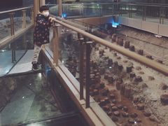 -元代水闸遗址博物馆
