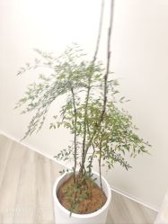-HEYAN荷妍专业脱毛连锁机构